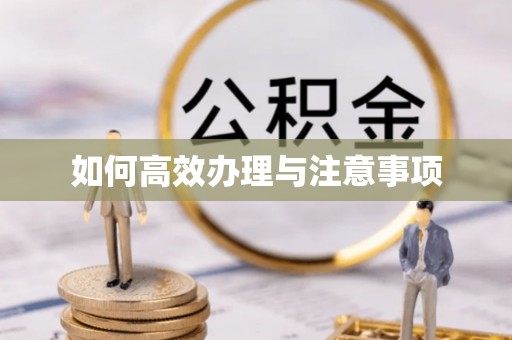 锡林郭勒如何高效办理与注意事项