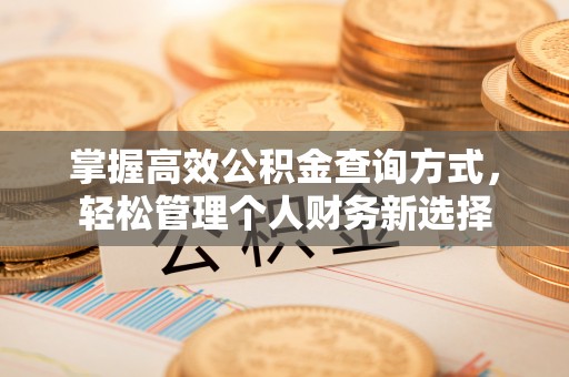 锡林郭勒掌握高效公积金查询方式，轻松管理个人财务新选择