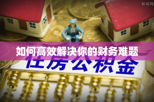锡林郭勒如何高效解决你的财务难题