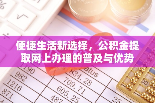 锡林郭勒便捷生活新选择，公积金提取网上办理的普及与优势