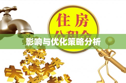 锡林郭勒影响与优化策略分析
