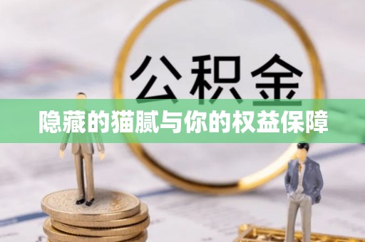 锡林郭勒隐藏的猫腻与你的权益保障