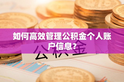 锡林郭勒如何高效管理公积金个人账户信息？